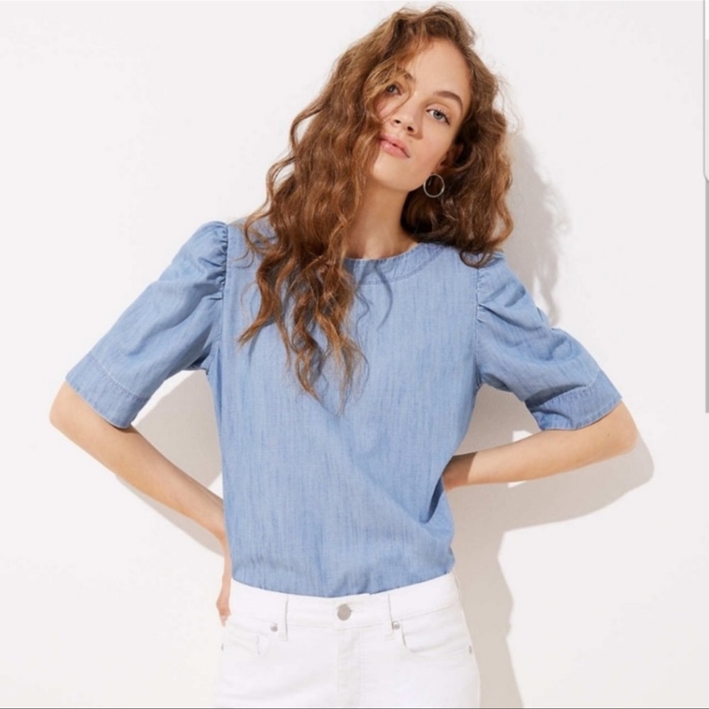 Medium Puff sleeve chambray top